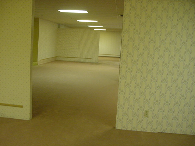 Picture of the backrooms